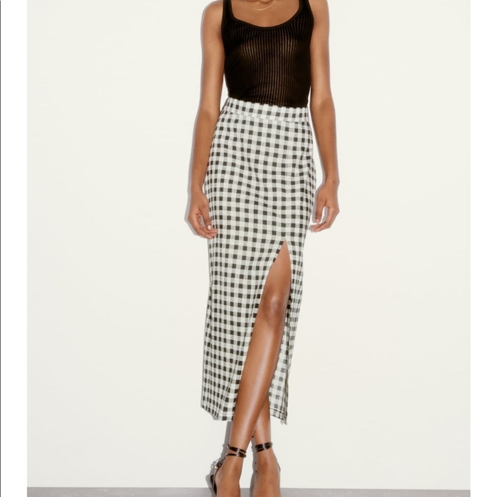 Zara maxi skirt NWT